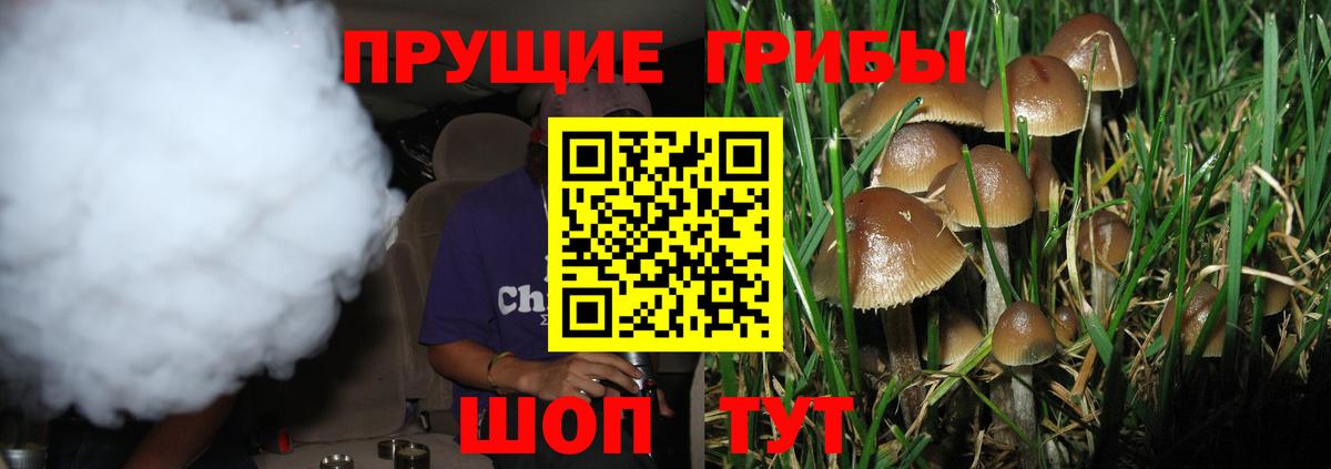 Реж  Псилоцибиновые грибы Psilocybe  купить наркоту  Псилоцибиновые грибы Psilocybine cubensis  Вход с VPN 